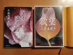 小池 真理子 ２冊セット『欲望』『夜は満ちる』