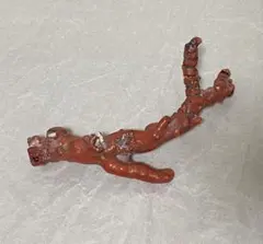 Item thumbnail for item b6fd6bb6-1744-4f98-8924-8895a2179a8d