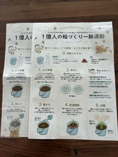 1억 명 쌀 재배, 화분 1개, 운동 재배 키트, 2점, 무료 연구, 식품 교육 과학