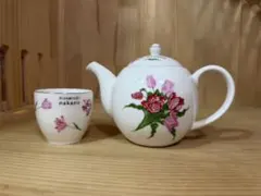 ひろみち中野 花柄ティーポットセット6点