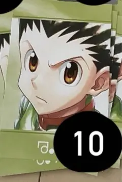 ハンターハンター HUNTER×HUNTER ゴン ポストカード アニアート