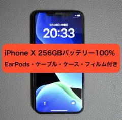 iPhone X 256GB