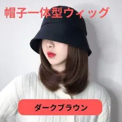 ハット　ウィッグ　帽子ウィッグ　変装　女装　　ダークブラウン　wig673