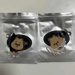 StrayKids dominATE ソウルコン ダングルキーリング ハン