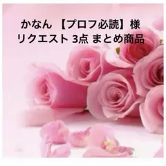 【専用出品】6/1以降発送✳︎購入前プロフ必読 様 2025年最新】プロフ必読様の人気アイテム - メルカリ