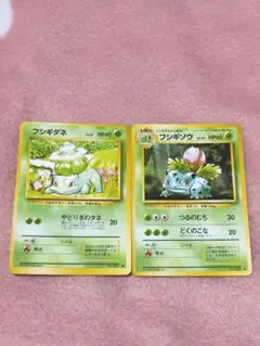 ポケカ フシギダネ フシギソウ 旧裏 イントロパック まとめ売り - メルカリ