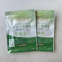 カテキン減脂粒 62粒入(2袋) DMJえがお生活　新品　未開封のサムネイル