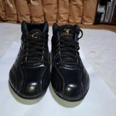 Item thumbnail for item 15748352-91e7-468a-b441-565d33a889f9