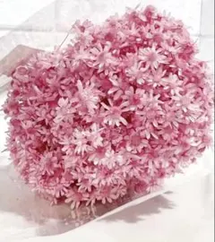 ぷれん様 リクエスト 3点 まとめ商品