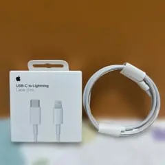 新品AppleタイプCライトニングケーブル純正2個 正規品　充電器