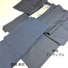 ［5181］男物 2点セット 単衣 アンサンブル しつけ付 正絹 着物 袷