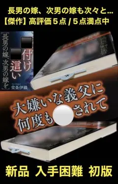 希少【傑作】王道シリーズ 藤崎玲 超入手困難 高評価5点/5点満点中 