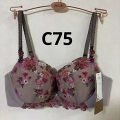 Item thumbnail for item 7bfcf745-0163-4609-a028-fb95d727070d