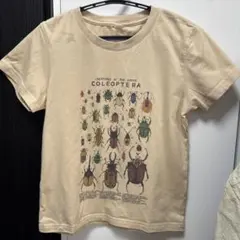 子供　虫　tシャツ
