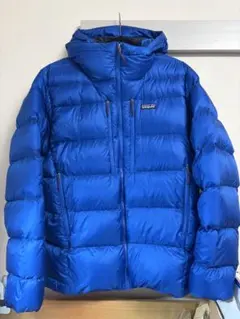 patagonia フィッツロイダウンフーディ L