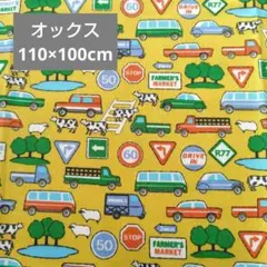 Item thumbnail for item 22182033-e66f-460e-94cb-ed7c452edd7c