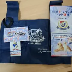 Item thumbnail for item ddaf00a0-c0d2-4c1d-bc14-a4a0ec117039