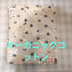 Item thumbnail for item 568d9277-ebc8-4ff9-8d5a-33f73ea43556