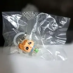 未開封 クレヨンしんちゃん めじるしアクセサリー2 ひまわり シロ