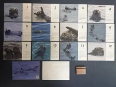 北海道のラッコカレンダー