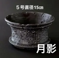 月影　５号直径15㎝　3dプリンター鉢　作家鉢　アガベのサムネイル