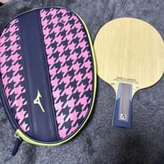 Item thumbnail for item ece3d858-2f5a-4ef3-bf44-6e67b6be74fe