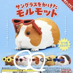サングラスをかけたモルモット ハート キャッツアイ 2点セット