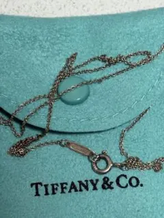Tiffany & Co. シルバーチェーンネックレス