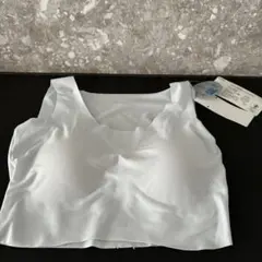 GUNZE ハーフトップ ブラジャー アセドロン　グンゼ　Ｌ