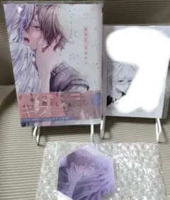 【初版　未読本】キスと、それから　ハノハタノハ　特典2点付き　✨️美品✨️