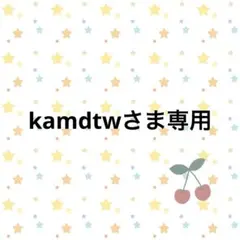 kamdtwさま専用