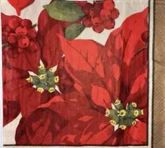 ꕤ︎︎·͜· ︎︎ Xmas花2⑱・4枚セットペーパーナプキン