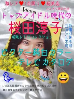 桜田淳子 ビクター純白カラーテレビカタログ 昭和レトロ♥新品 美品 限定1点 桜田淳子 ビクター純白カラーテレビカタログ 昭和レトロ♥新品 美品