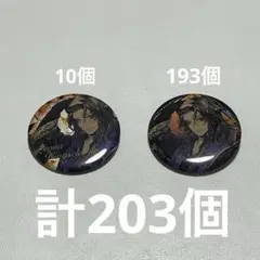 2026年最新】レオナ・キングスカラー カプ缶の人気アイテム - メルカリ