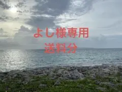 追加送料分