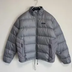 希少カラー パタゴニアPatagonia インサレーショングースダウン