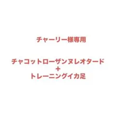 チャーリー様専用