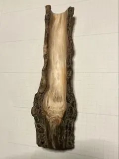 Item thumbnail for item 9095161f-cede-4088-b2ae-e7b316abb37b