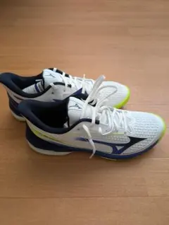 MIZUNO WAVE EXCEED COURT WIDE OC 27cm値下可 - メルカリ