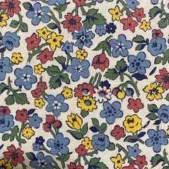 Item thumbnail for item b7a41970-9877-4bf0-962b-c4985fd87211