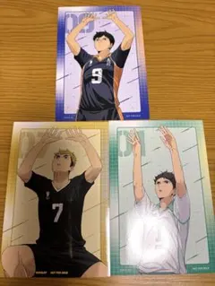 ハイキュー!! ウィンターフェア 2025 アニメイト セッター アニメイト特典