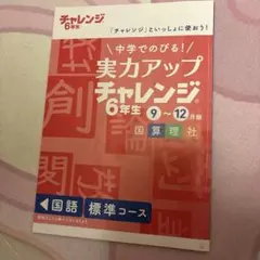 ベネッセ チャレンジ 5年生 実力アップドリル 2025年度 10～3月号