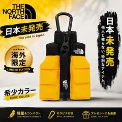 【日本未発売】THE NORTH FACE ミニベストチャーム　キーホルダー