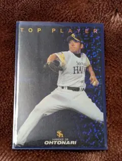 プロ野球チップスカード 2009 TOP PLAYER 大隣憲司