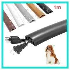 Item thumbnail for item ee2a0052-6b15-4748-83a2-fd5d25d8c694