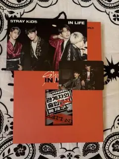 Stray Kids1stアルバムリパッケージアルバム　IN生(IN LIFE)