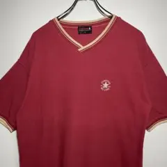 ザノースフェイス Tシャツ