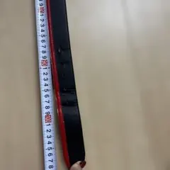 Item thumbnail for item b7576a0c-15ef-46e2-9ccc-ada48760a276