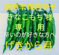 超激辛青唐辛子❗げきから君 1kg 農薬を用いない農家直送