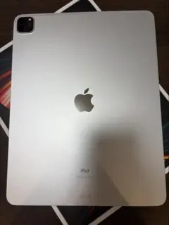 【美品】iPad Pro 12.9インチ 第5世代 + Applepencil